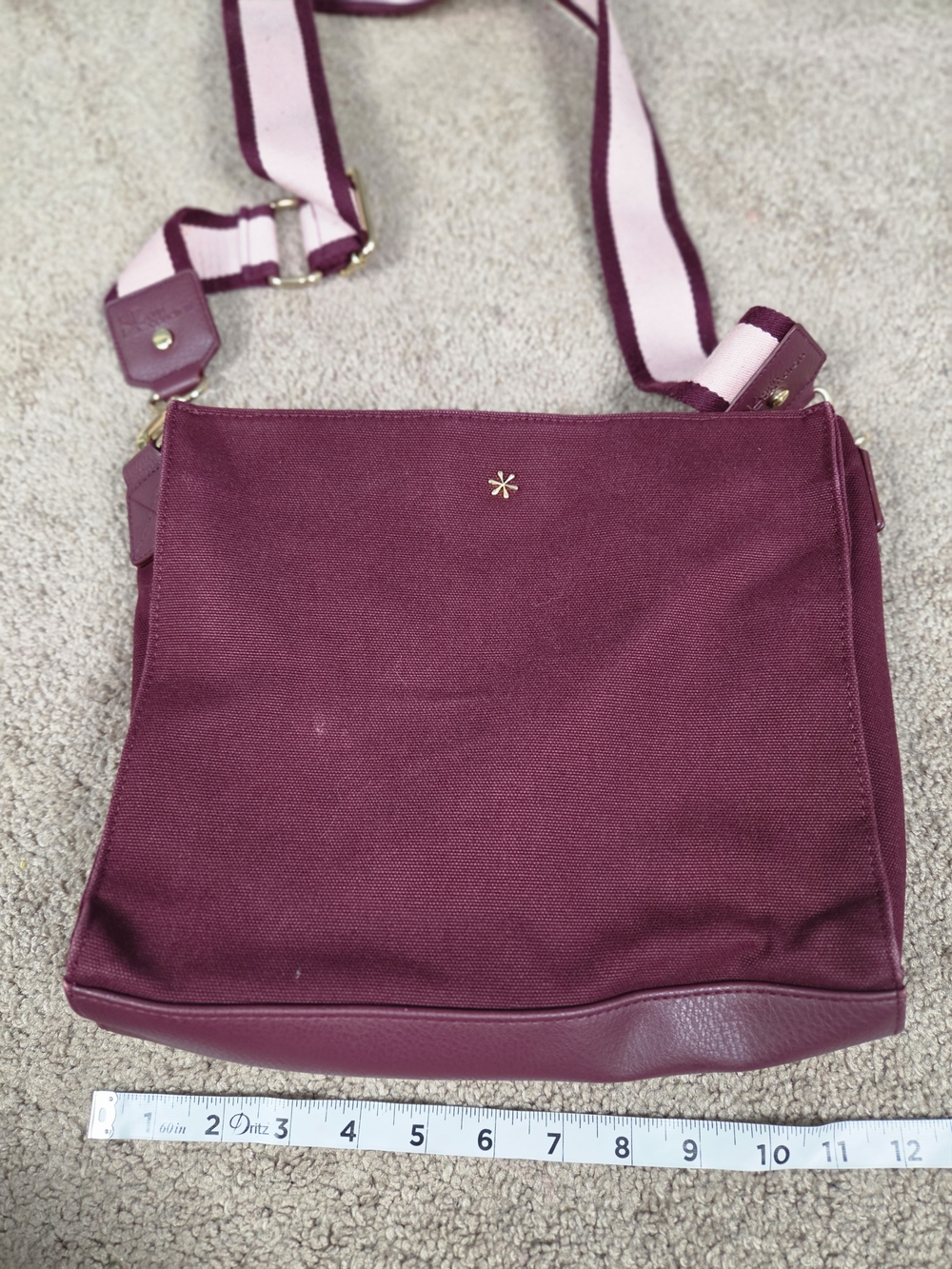 Erin Condren Berry Crossbody with Pink-Trimmed Strap